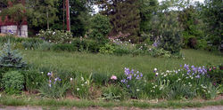 /images/02180002_250x124.jpg